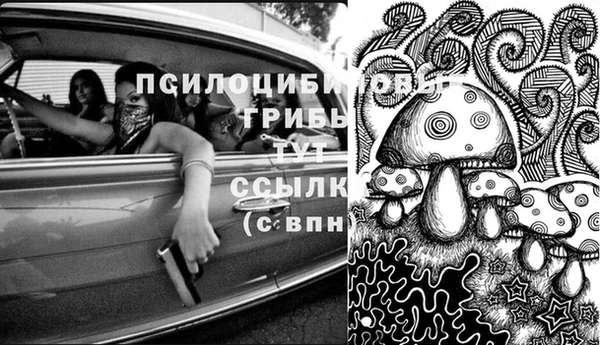 амфетамин Заволжск