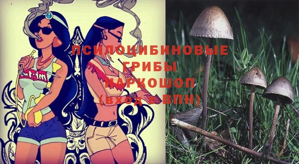 мдма Заводоуковск