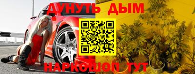 шишки Апшеронск