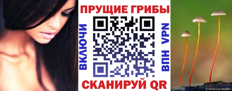 Галлюциногенные грибы Cubensis  цена наркотик  Сибай 