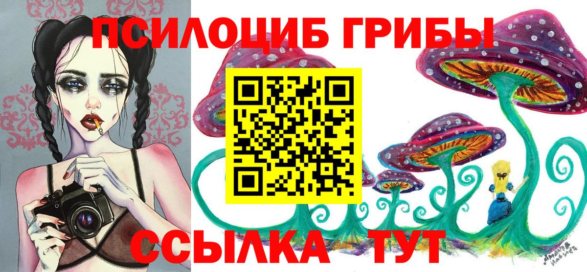 Псилоцибиновые грибы мицелий Сибай