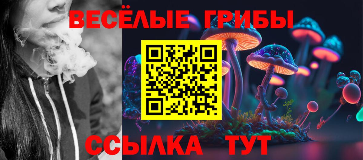 Галлюциногенные грибы Psilocybine cubensis  где купить наркоту  Сибай  Вход с VPN 