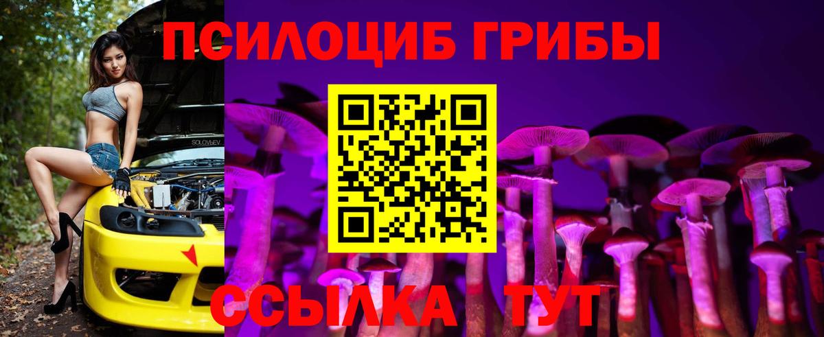 Галлюциногенные грибы MAGIC MUSHROOMS  Сибай  Псилоцибиновые грибы Cubensis 
