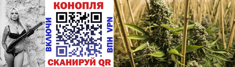 Канабис индика  где можно купить наркотик  Сибай 